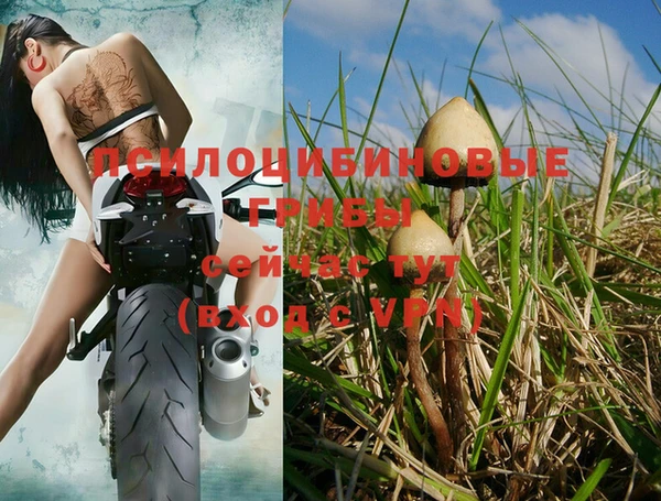МДМА Кинешма