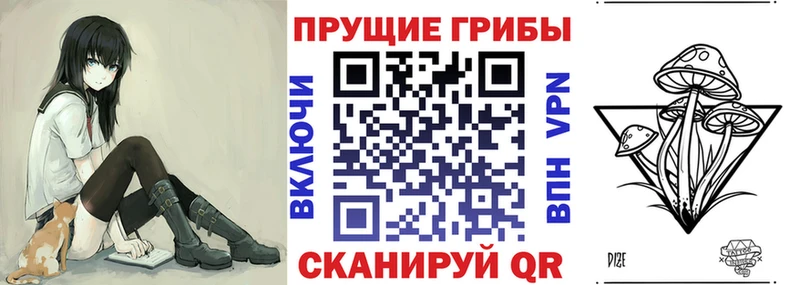 Псилоцибиновые грибы Psilocybe  Купить  Белореченск 